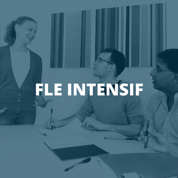 formation FLE intensif Courzal Academy